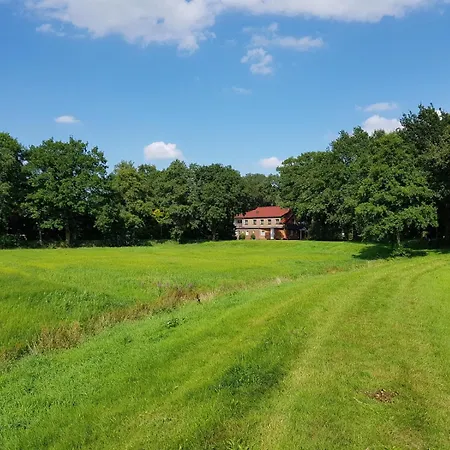 Hotel Bucksande *